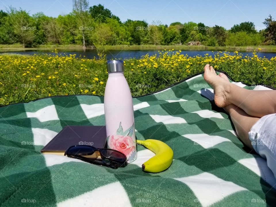 Relaxing Picnic from the Ground Up