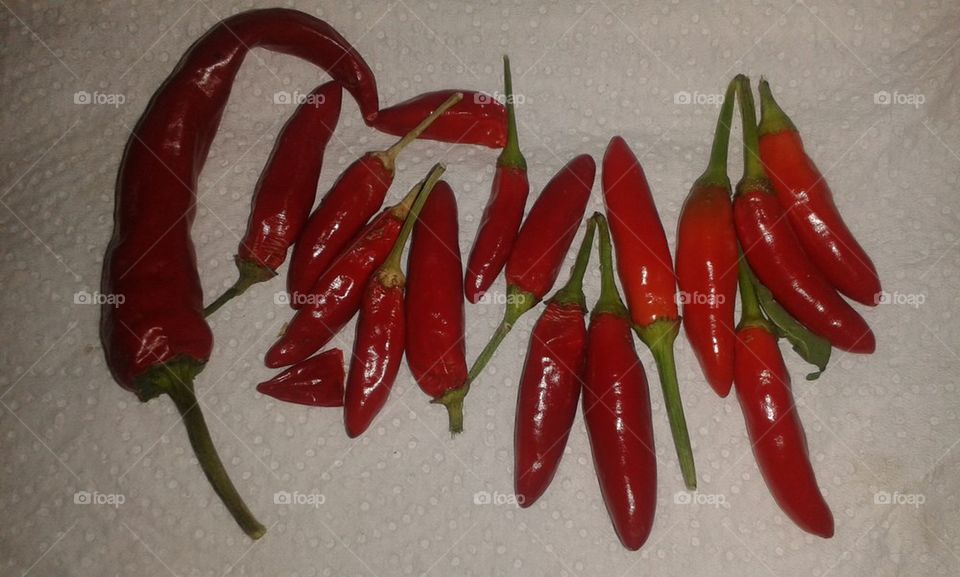 red Peppers