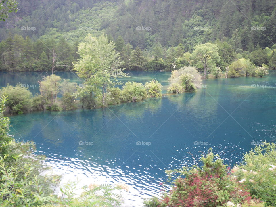 Idyllic lake in the forest