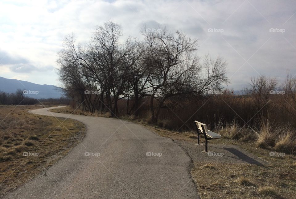 Quiet morning walk