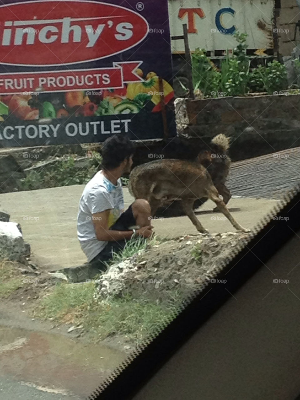 SITTING WITH STREET DOGS