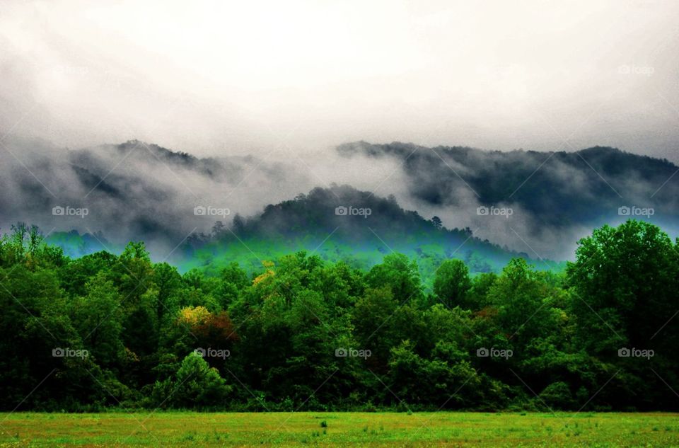 Mountains with fog