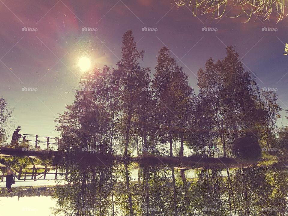 the world up and down