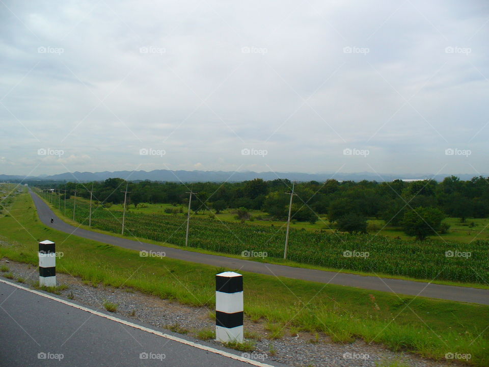 Road, Landscape, No Person, Asphalt, Agriculture