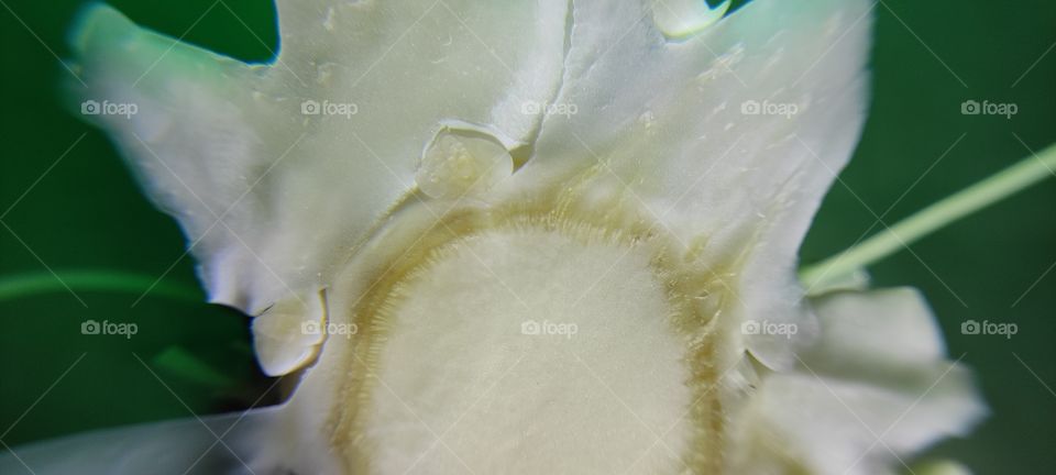 interior design creativity image