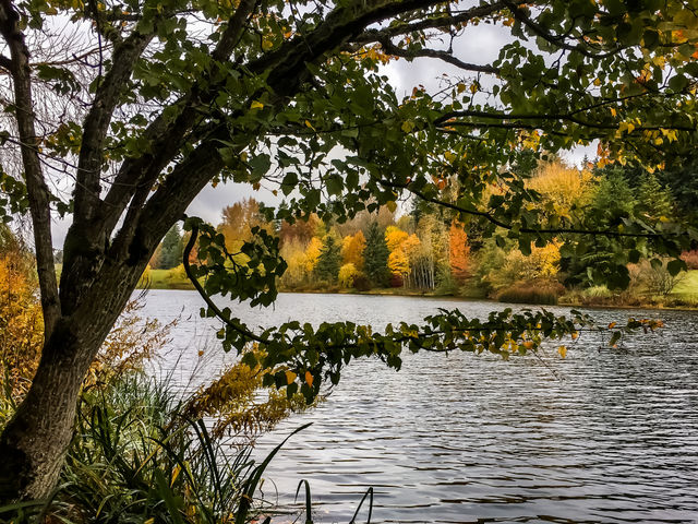 Nature’s Framing 