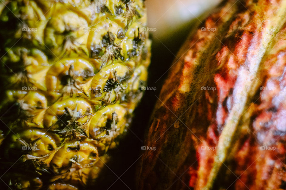 Hawaiian Pineapple and a Cacau Fruit skin with colorful lighting. Details of fruit skin, creamy Bokeh