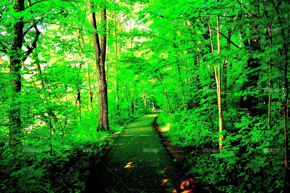 A hike in the park in Indiana 