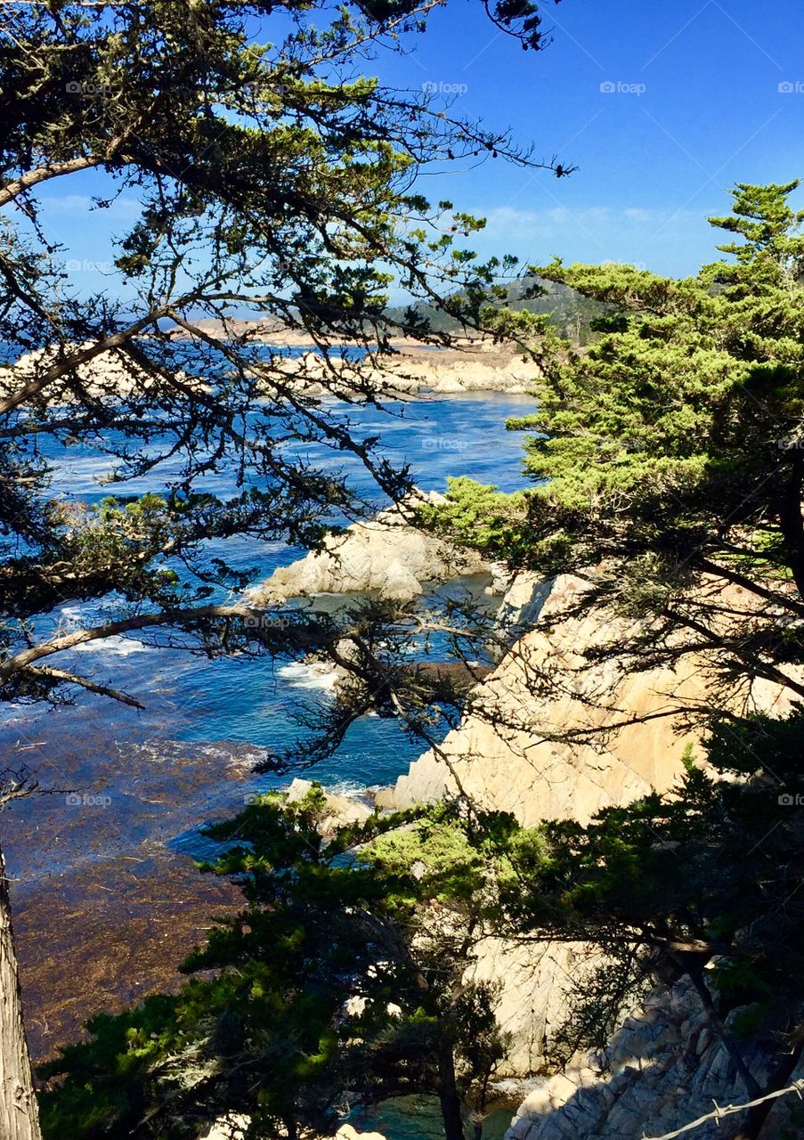 Carmel CA along Highway1