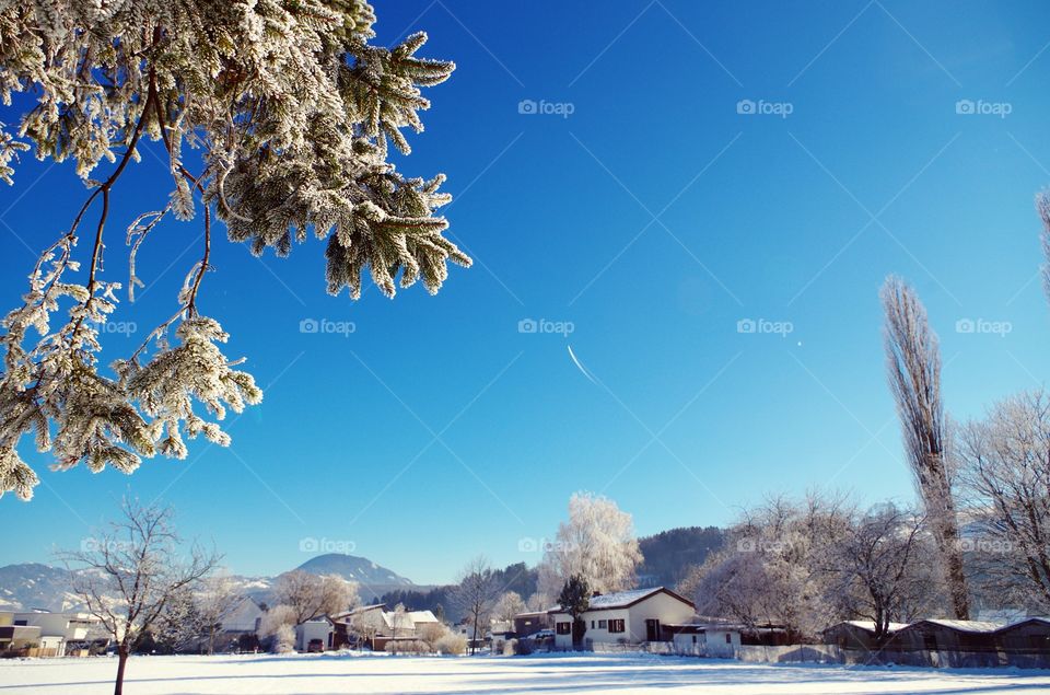 Rural scene in winter