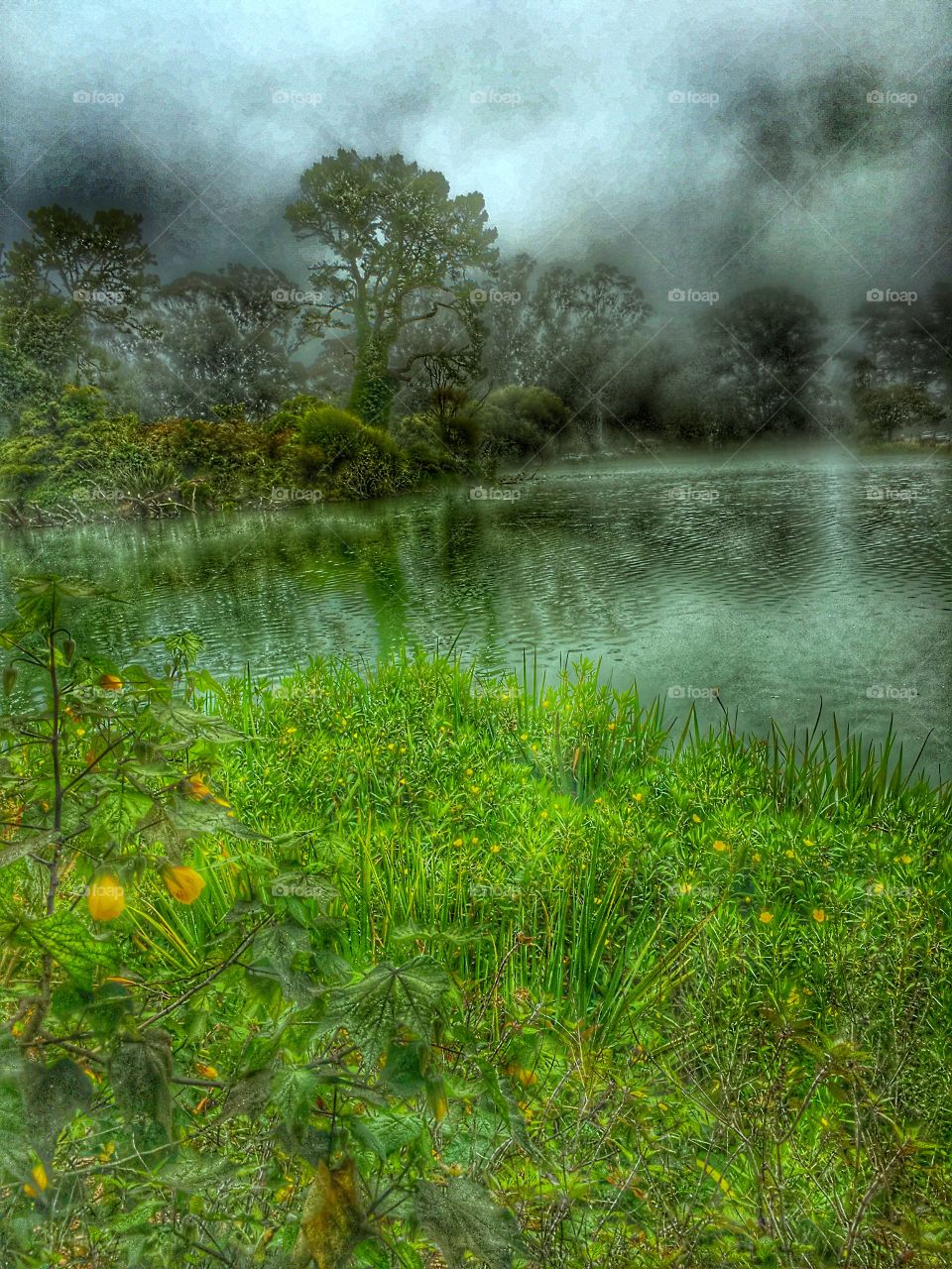 Lake with fog in Goldengate Park San Francisco