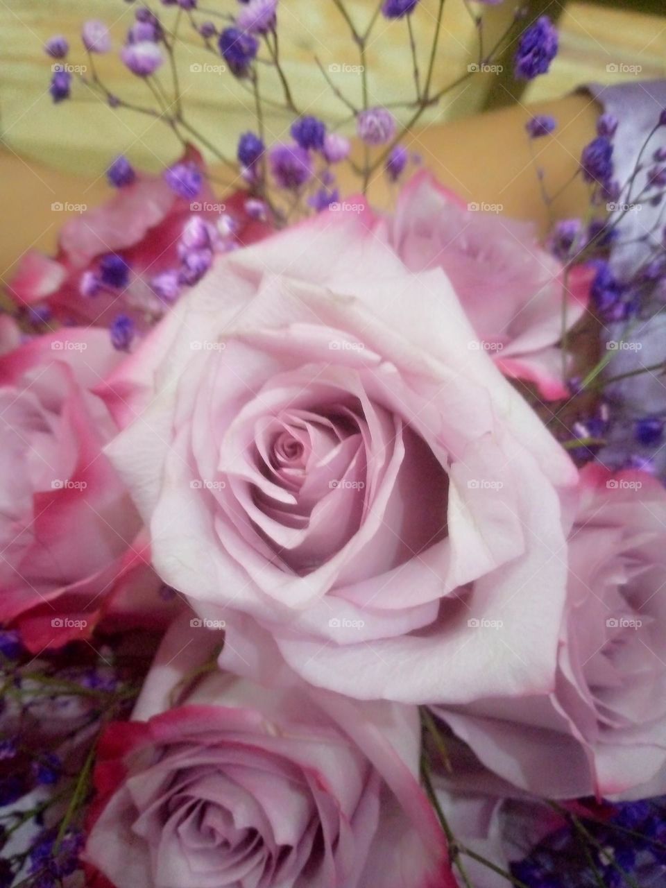 Barbie Style ! by Foap Missions