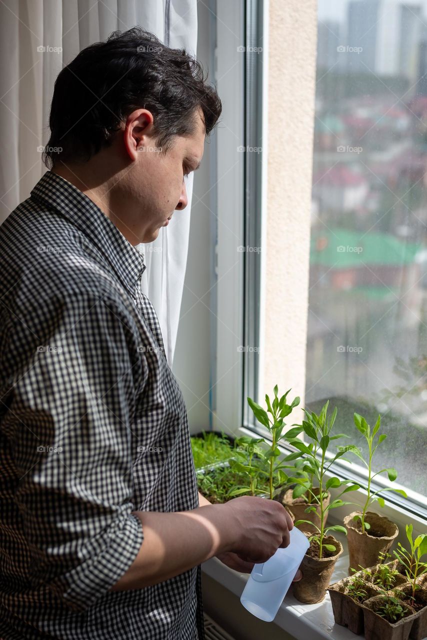 man watering houseplant seedlings on the windowsill