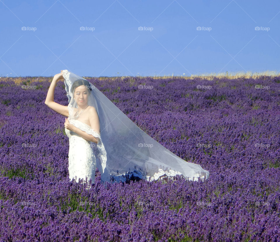 Bride. Bride in lavender field 