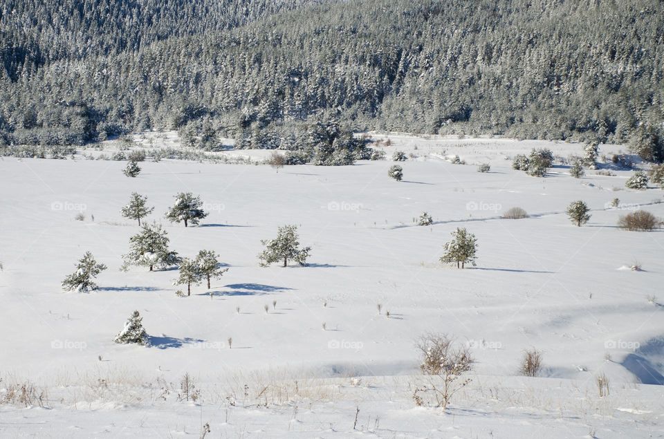 Beautiful Winter landscape