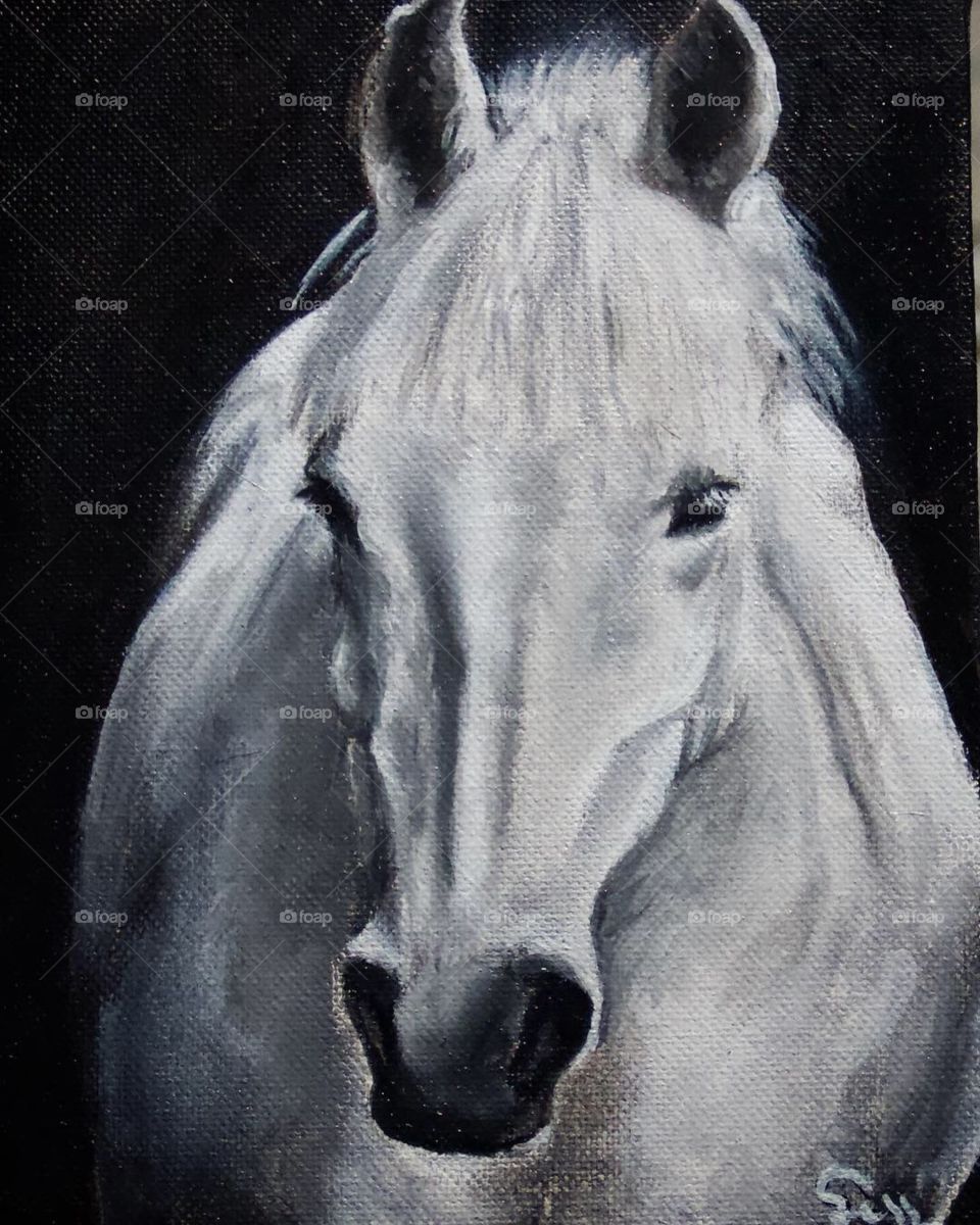 Horse Painting 