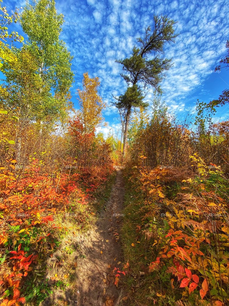Hiking in the fall