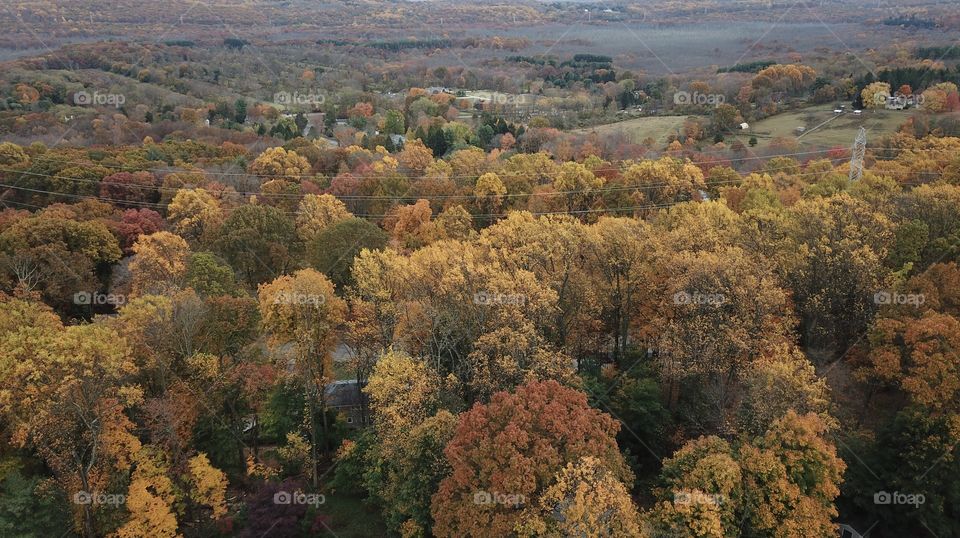 The colors of fall