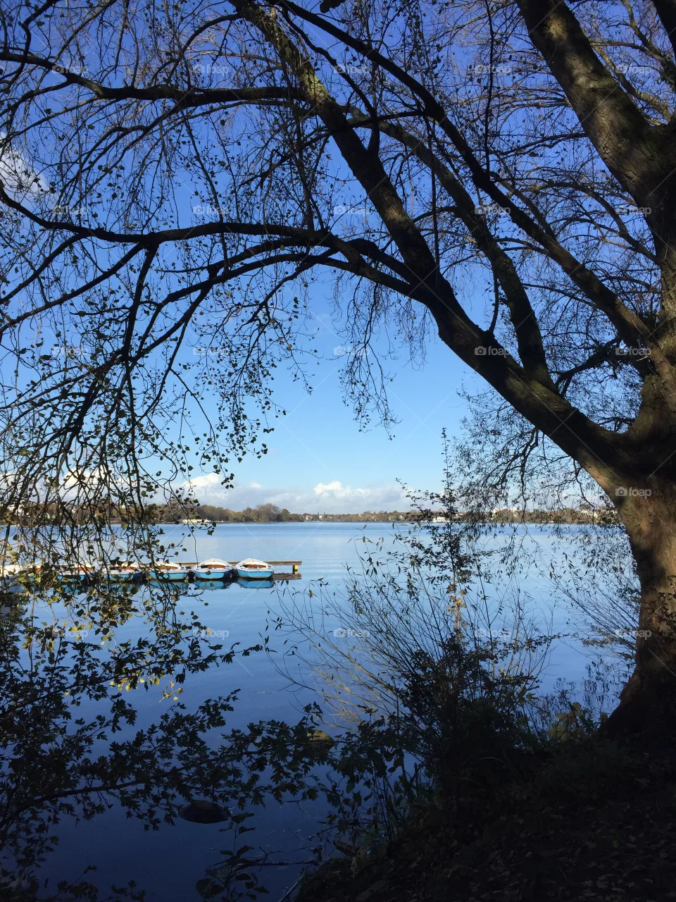 Lake