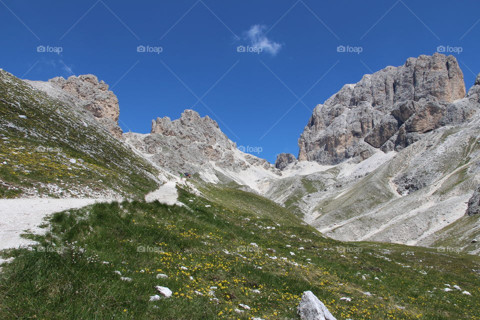 Meadow in Dolomites alps, Italy