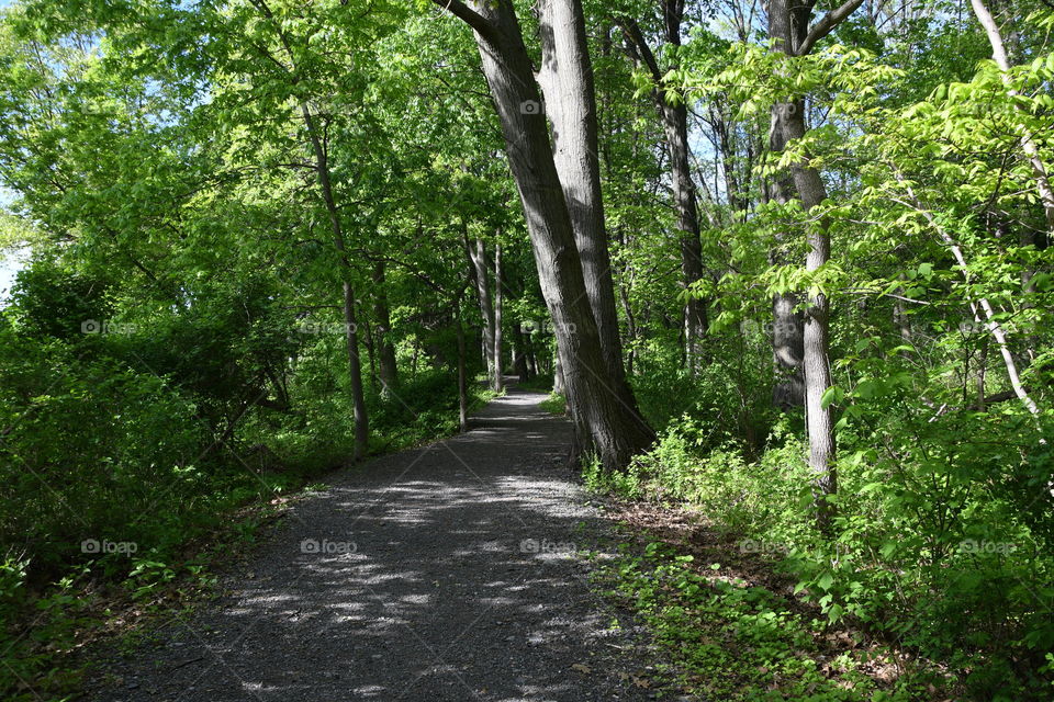 hiking trail nature walk