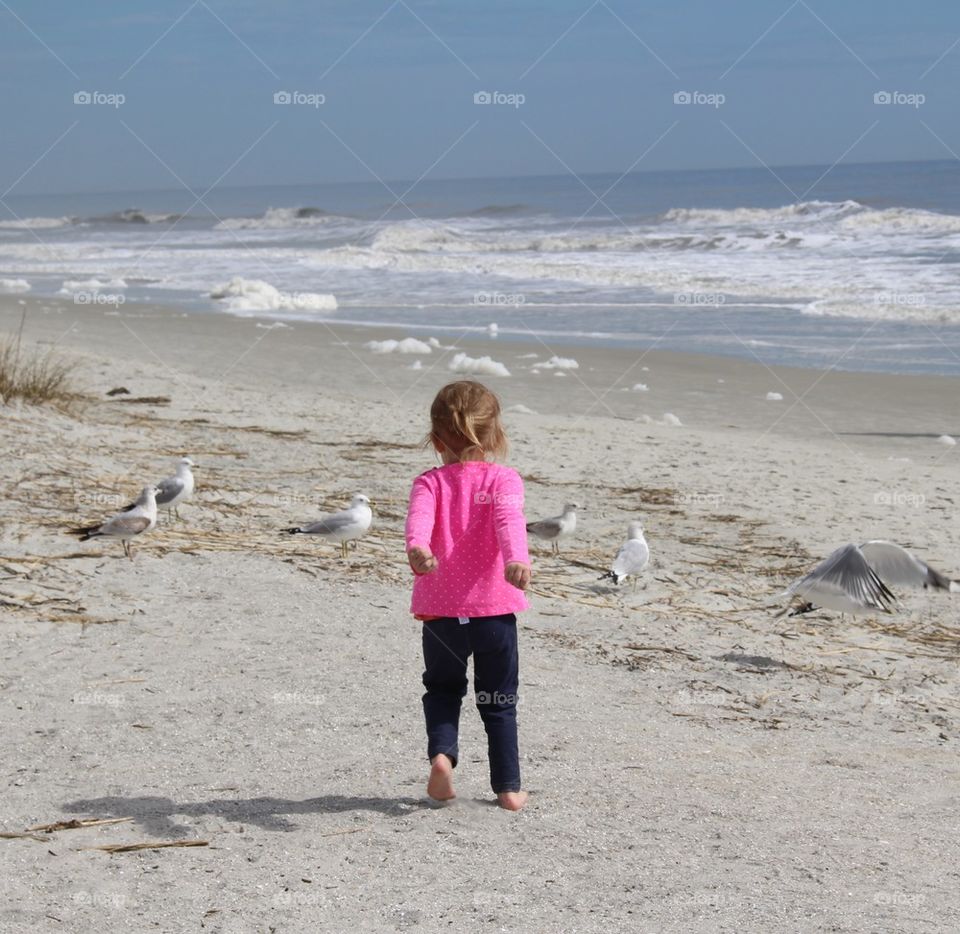 child chasing seagulls
