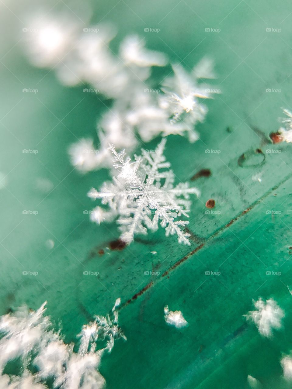 Close-up of snowflake