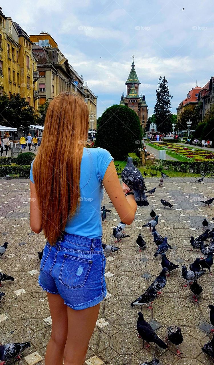 the girl and the pigeons
