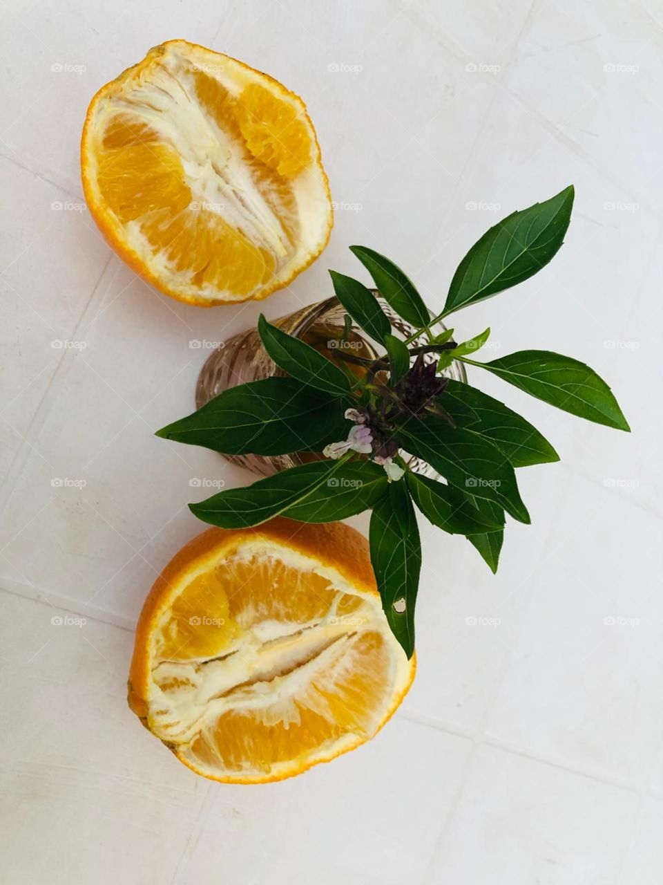 beautiful orange and green plant