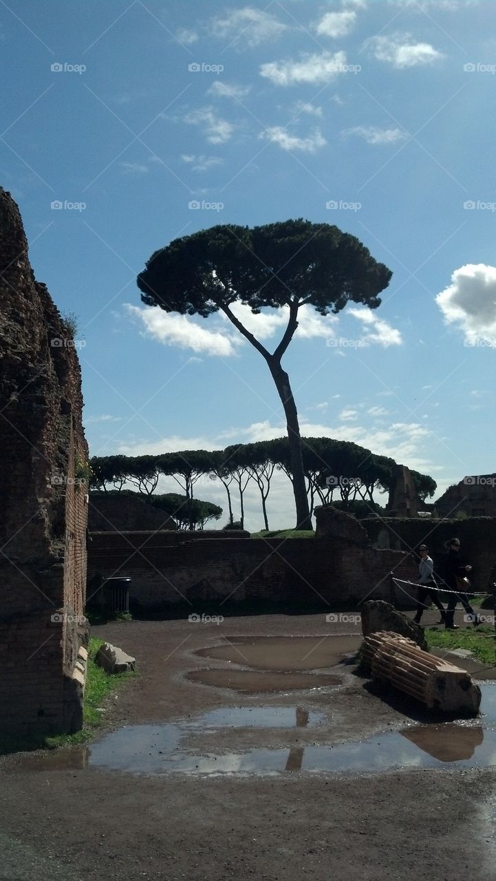 roman forum