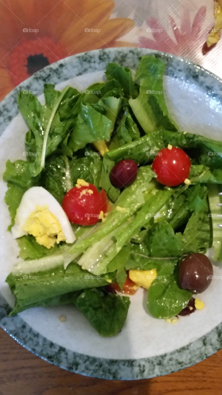 Summer Home Garden Salad  Lunch