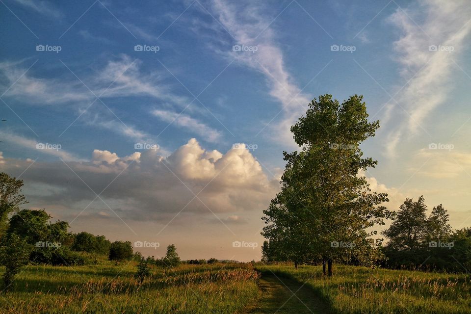 A summer hike...