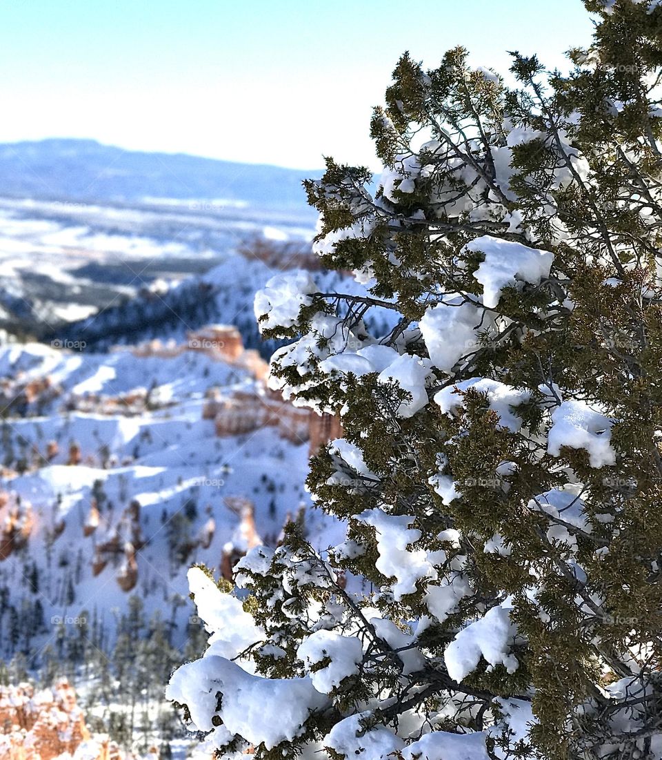 Near the canyon