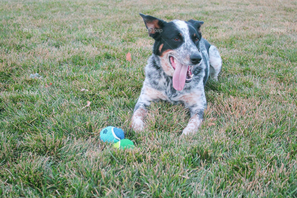 Playing on a hot summer day 
