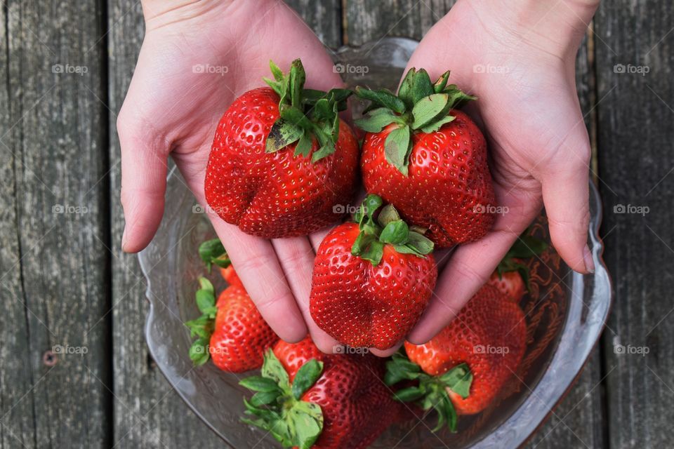 Person showing strawberries