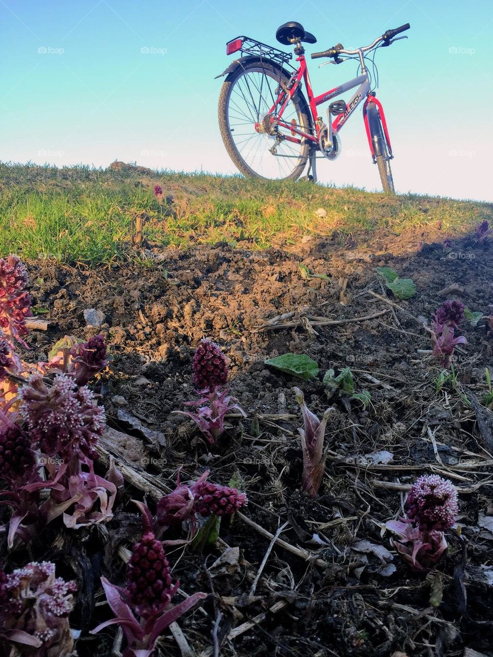 One lonely bicycle on the top of the meadow lawn hill with sunlight 