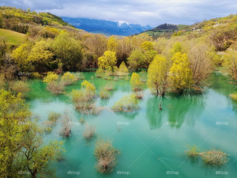 trees immersed in the turquoise waters of Lake Penne in Italy