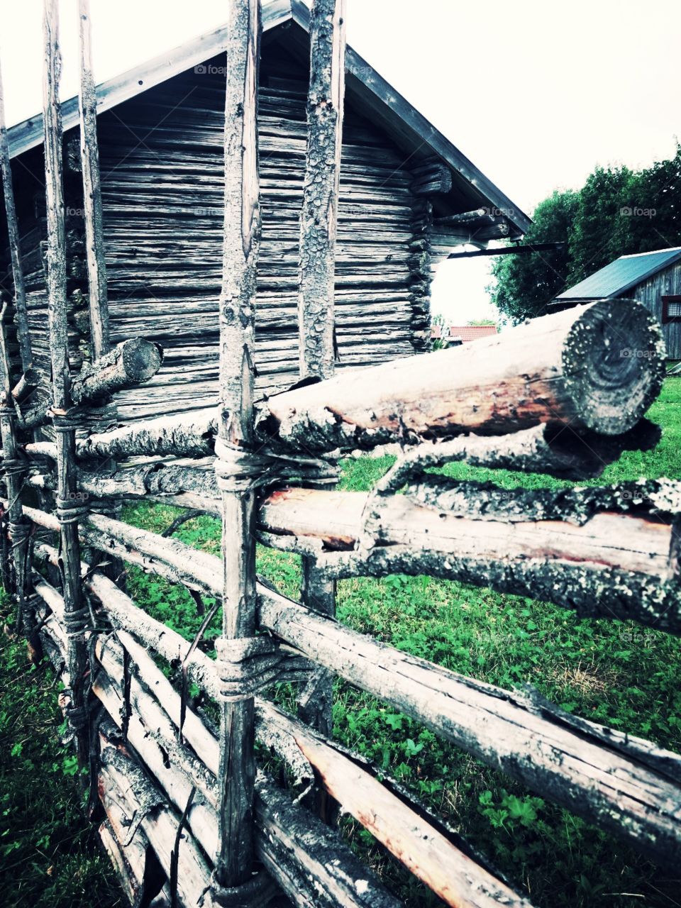 Old fence