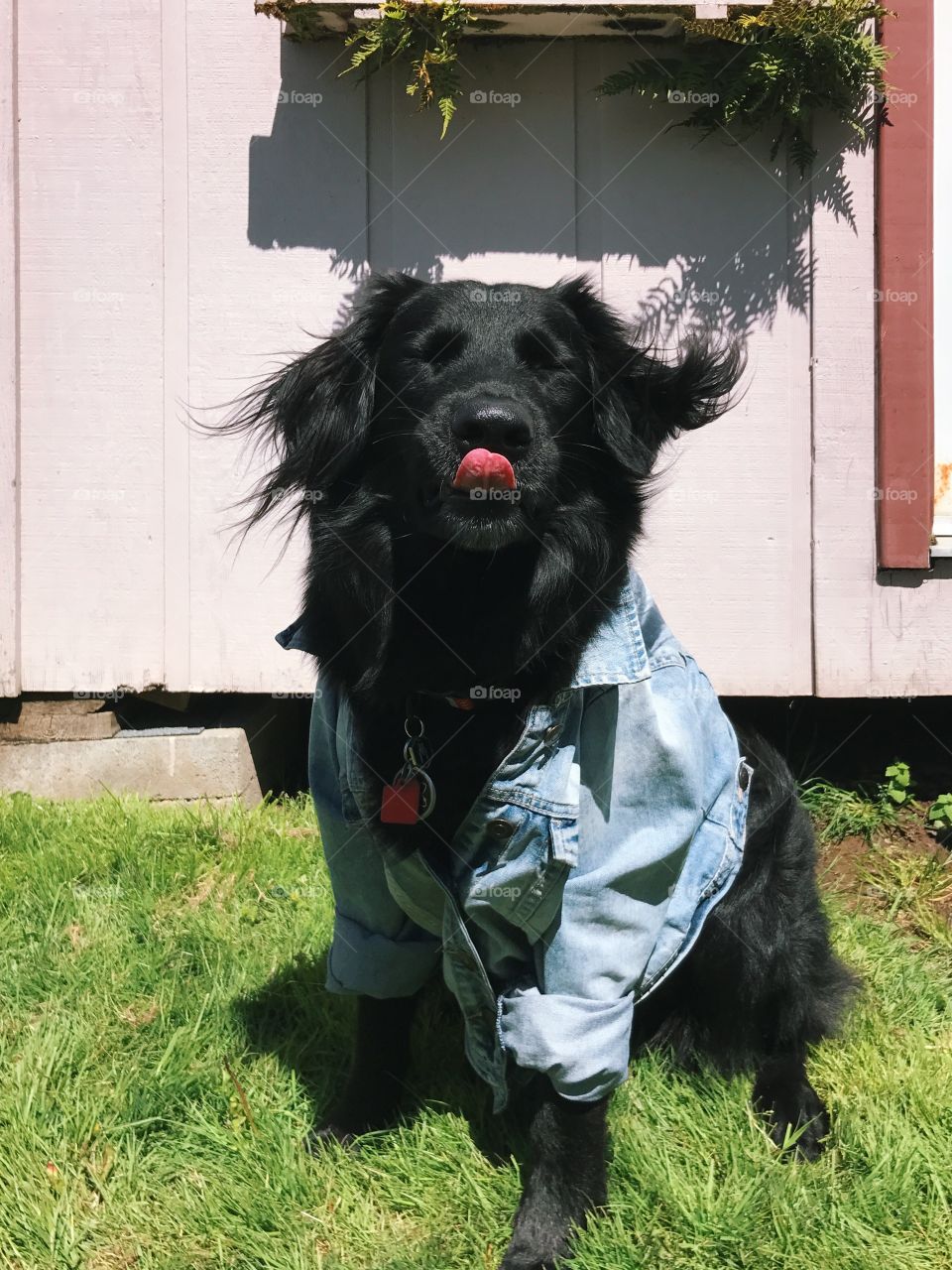 When your outfit is on point