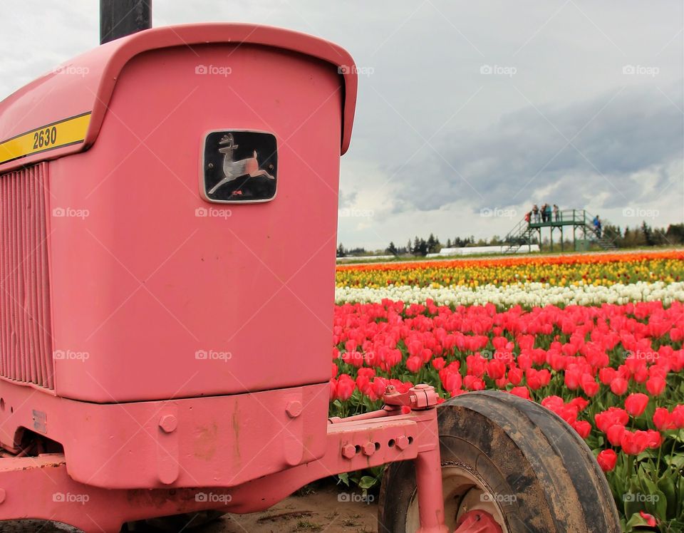 Tulip tractor