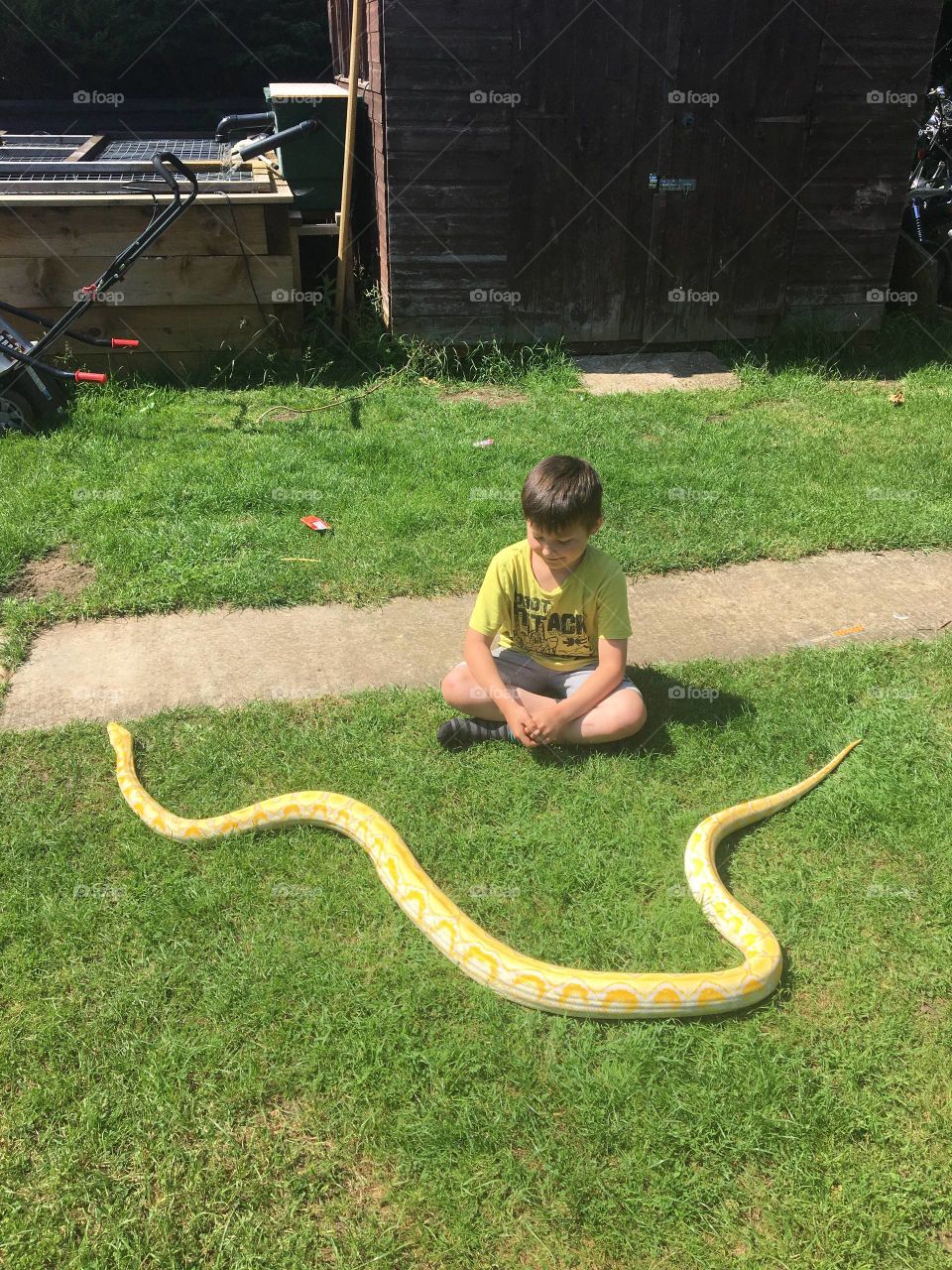 Snake and child