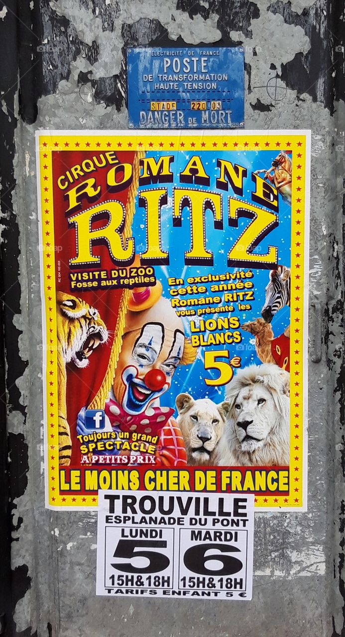 poster of Ritz ciecus
