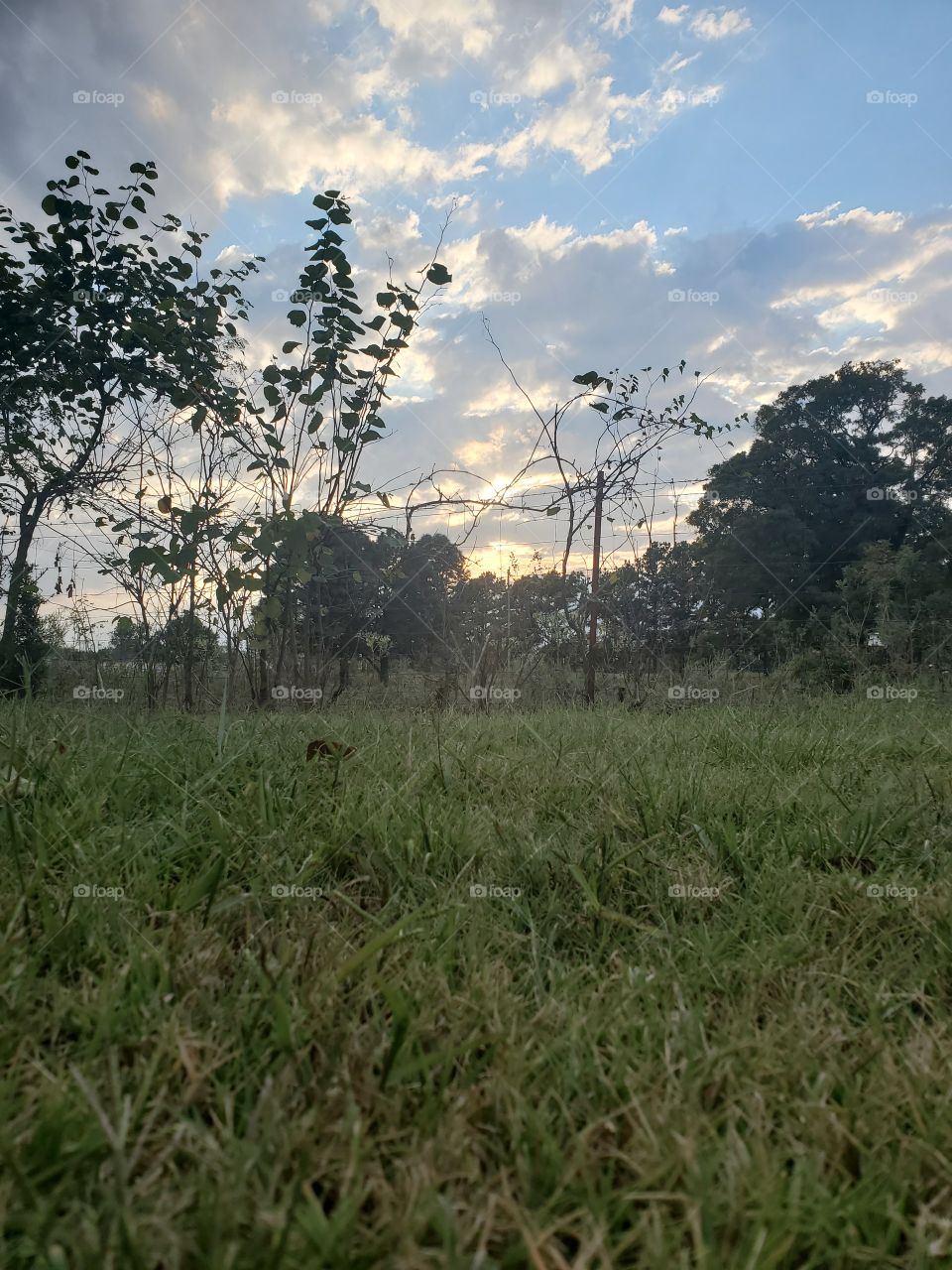 evening sun clouds coming in