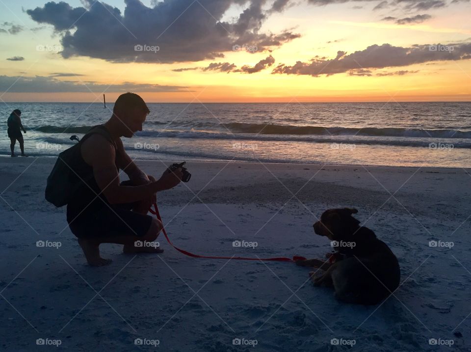 Sunset walk with dog 