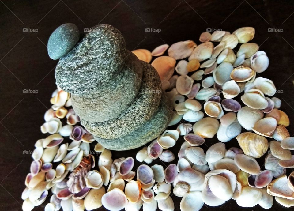 shells and stones
