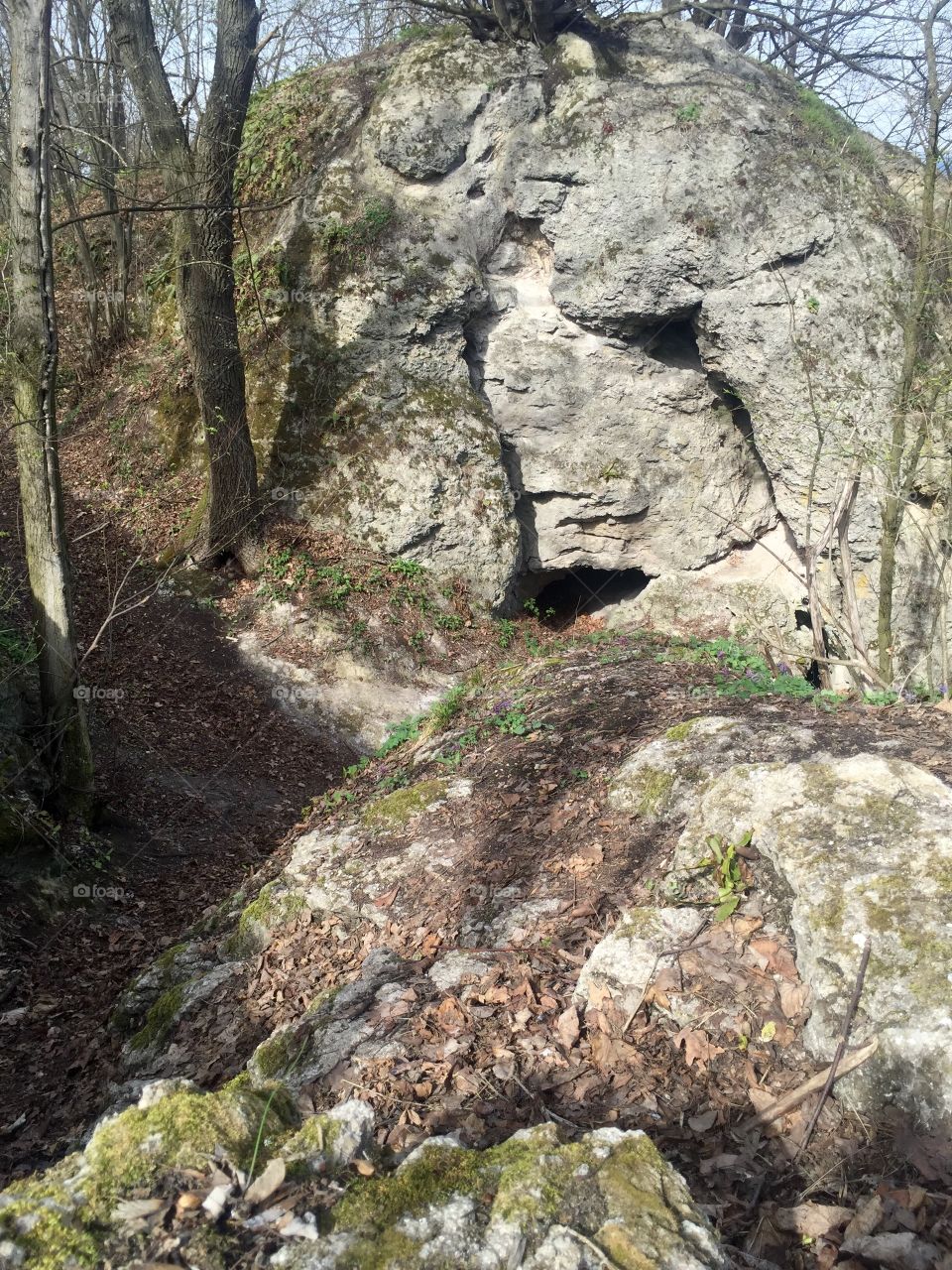 A rock with girls face in forest