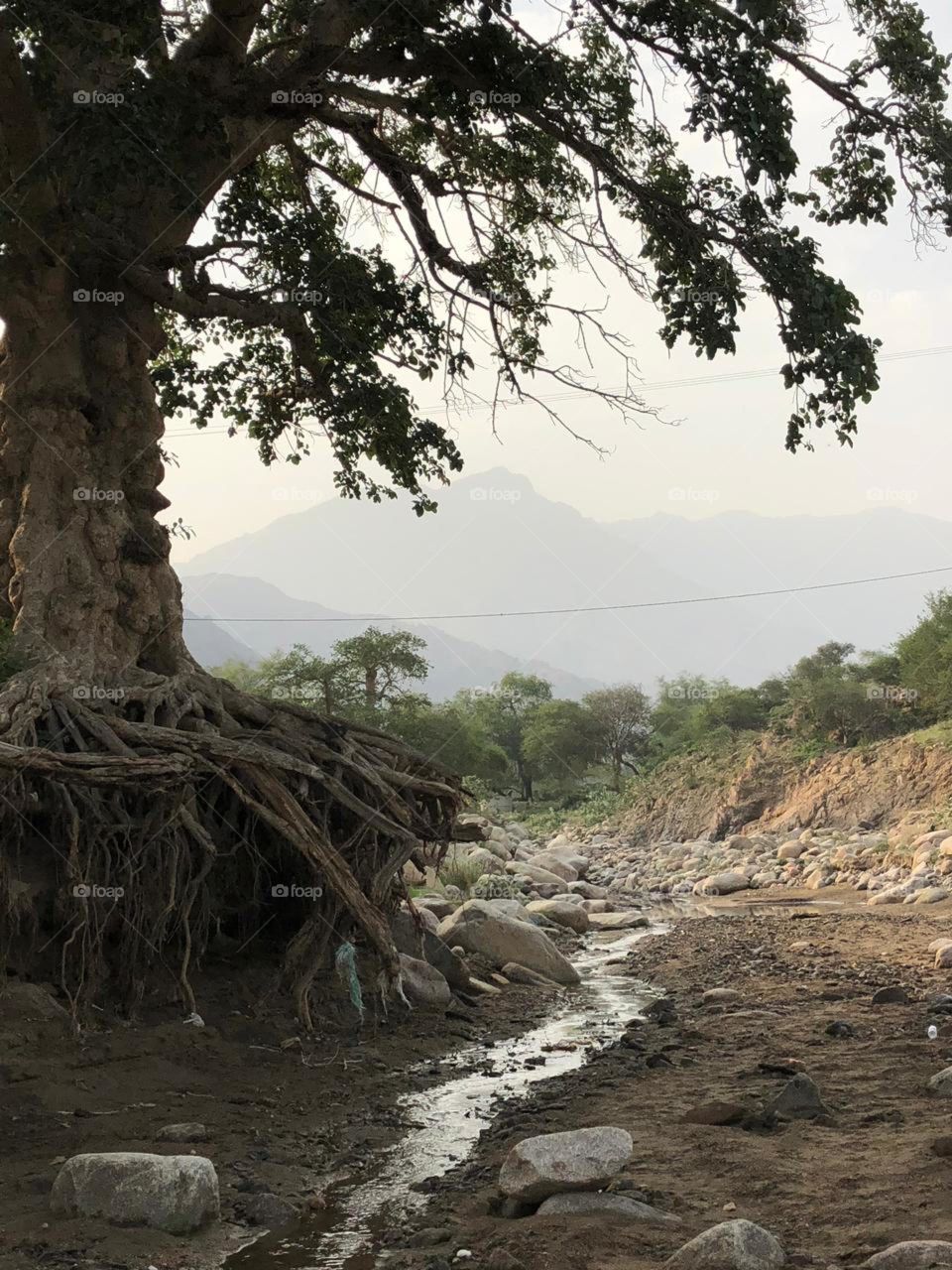 I need your support guys, I'm very, very poor, poor