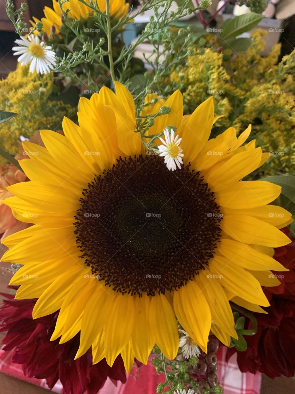 Nature being perfect 