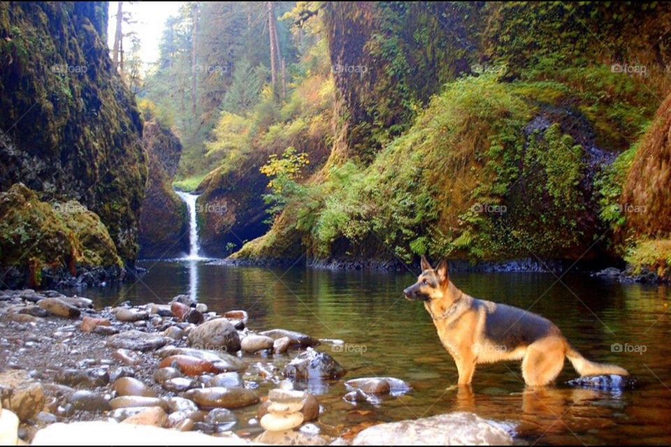 Eagle Creek Trail with punch bowl falls