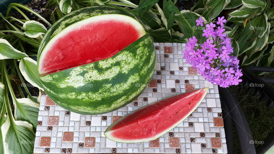 Watermelon picnic